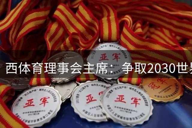 西体育理事会主席：争取2030世界杯决赛在西班牙举行
