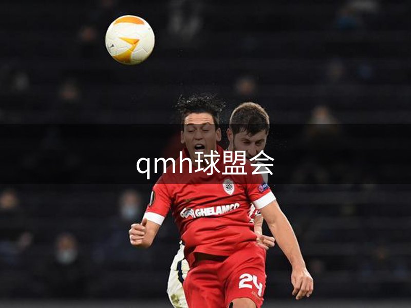 公司体系